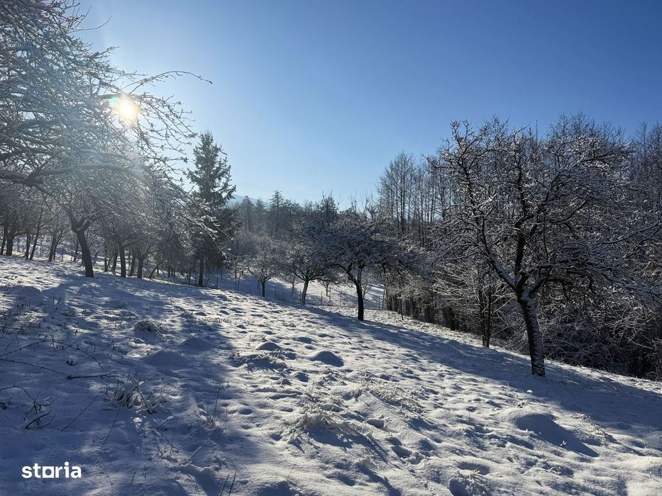 Teren intravilan 1600 mp, Sohodol, Bran, jud. Brasov