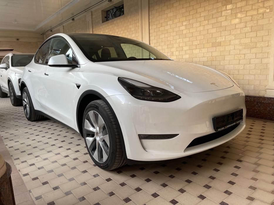 Tesla model  Y Германия