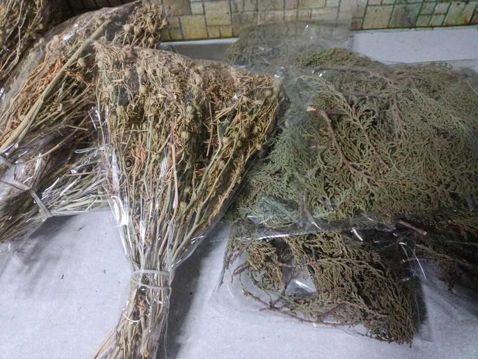 Адыраспандап адыраспан