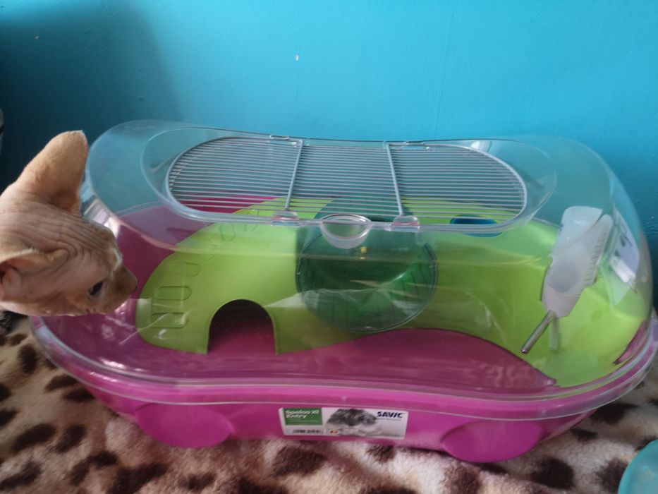 Домик для хомячка