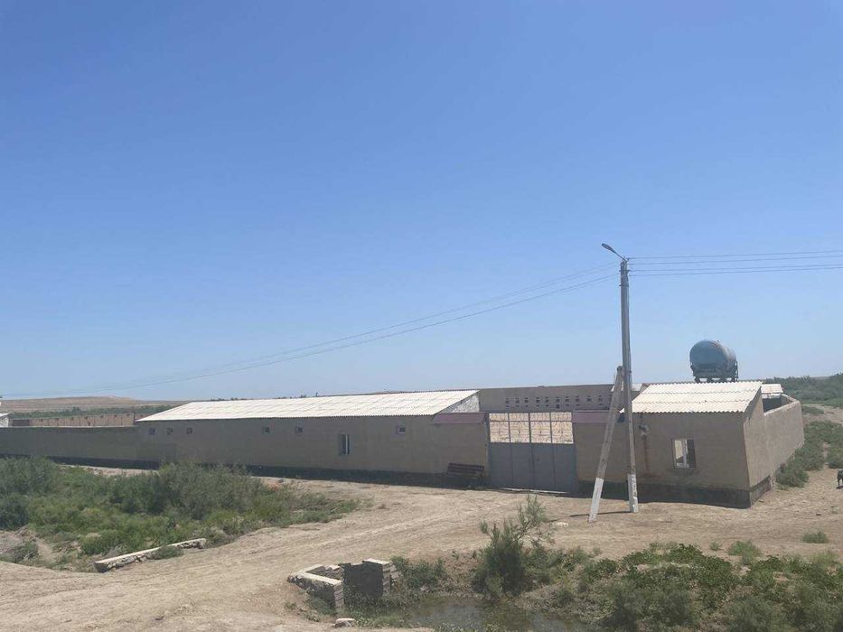 Molxona, sut va go`sht ishlab chiqarish majmuasi