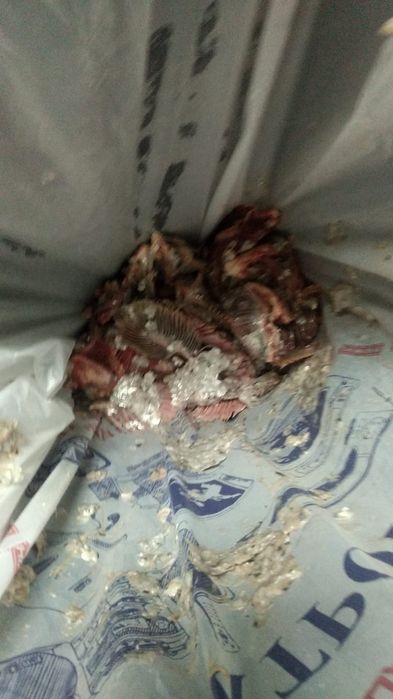 Корм для кур  рыбные остатки без чешуи