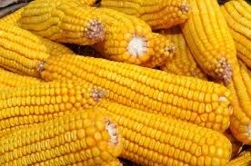 Porumb Stiulete Curatat