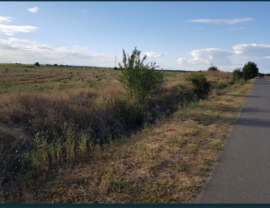 Teren Dragomirești Vale