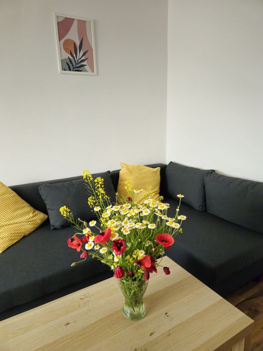 Închiriez apartament