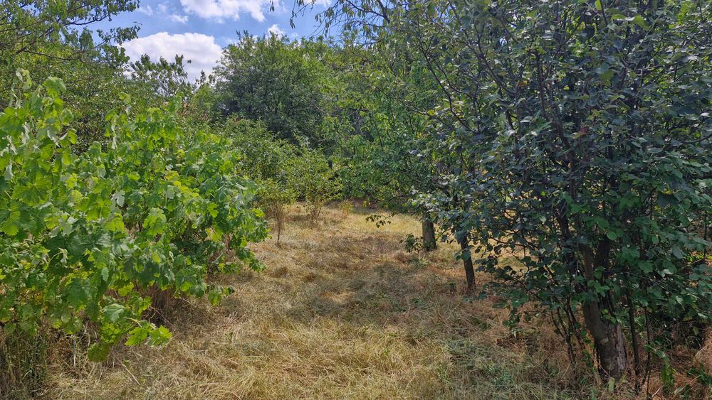 Продава се Къща в София, Младост 4 - 180 кв.м за 984 €/кв.м - Снимка #14