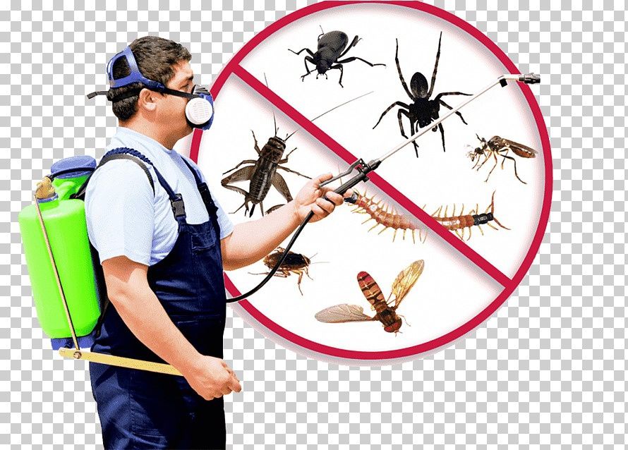 Уничтожение клопов и тараканов