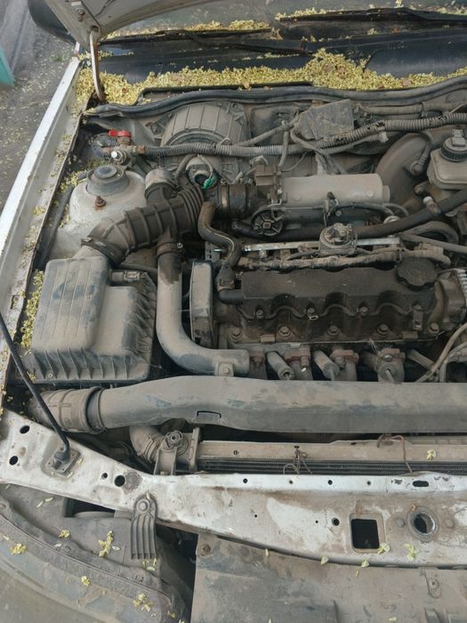 Eng oddiy Chevrolet Nexia sotiladi