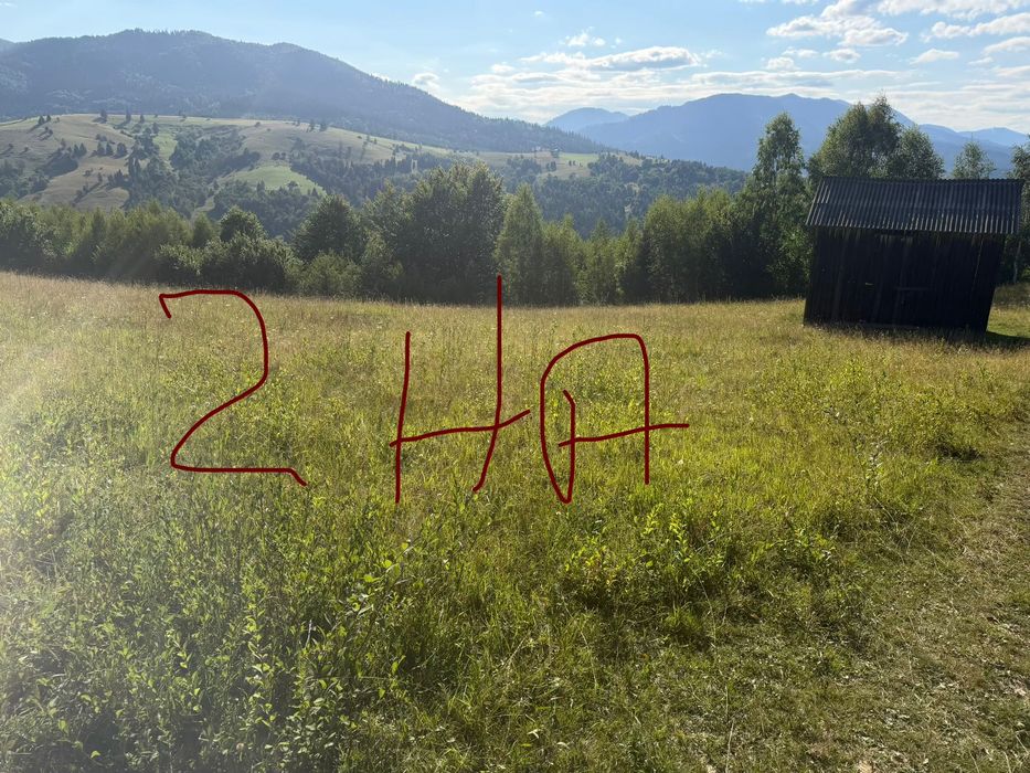 Vand teren extravilan / Zona Salatruc