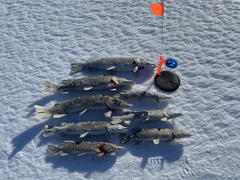 Жерлицы для зимней рыбалки