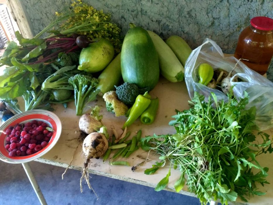 Сдам дачу в аренду