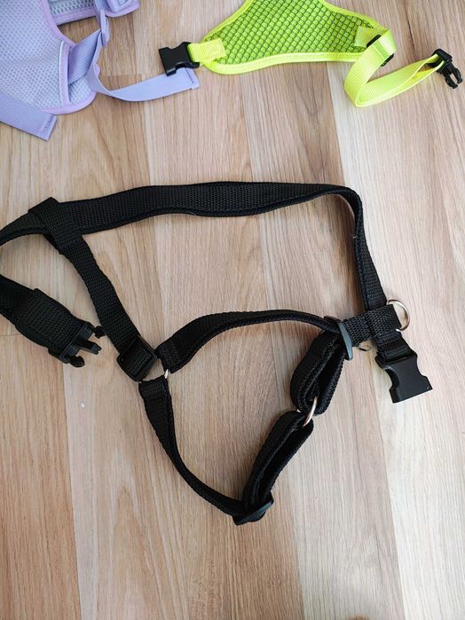 Ham hamuri caine catel