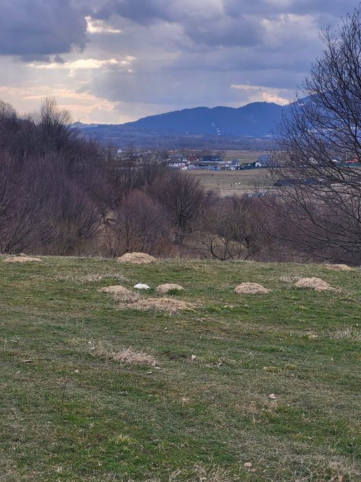 Teren de vanazare Rasnov