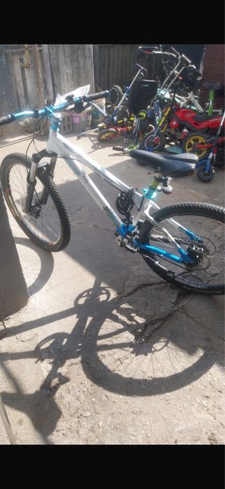 Solid Harlem 4X Custom Build