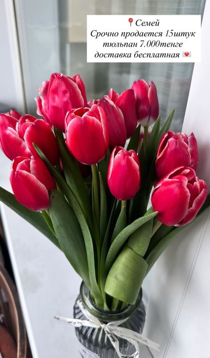 Здравствуйте,срочно продается 15шт тюльпан