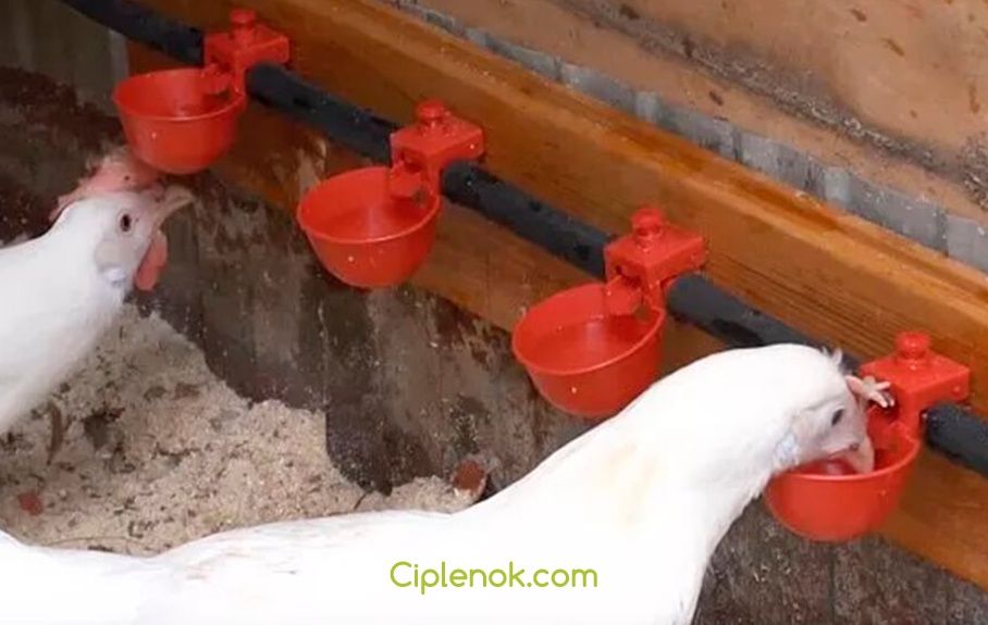 Микрочашечные поилки