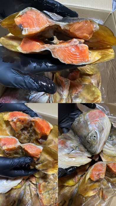 Копченые головые семги