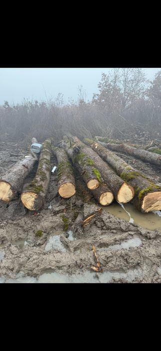 Lemn de foc gros fara farfuri