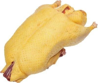 Мясо индоутки домашней.