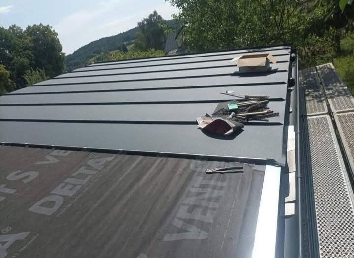 Reparatii acoperișuri expert în domeniu