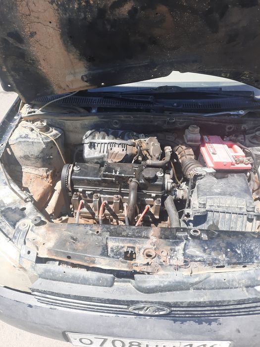 Калина 2011 жылгы