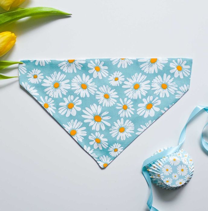 Bandane pentru caini