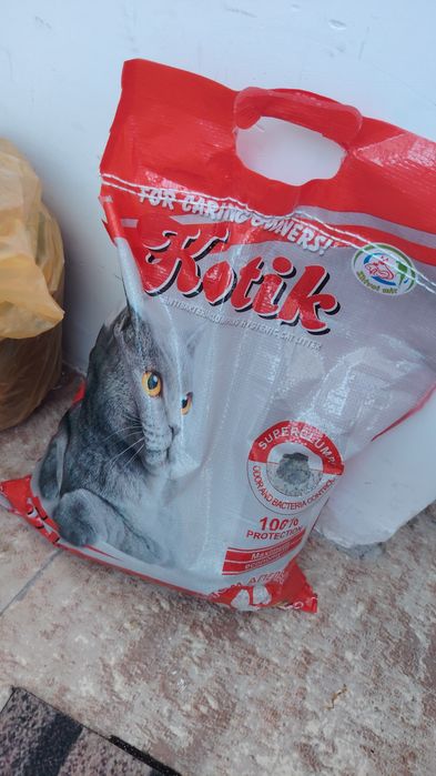 Отдам котёнка в добрые руки