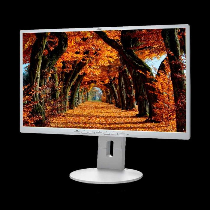 Монитор Fujitsu B24-9TE. IPS, DP, DVI, VGA, 1000:1, 5 мс