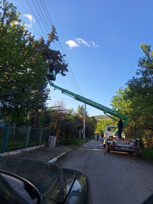 Рязане на опасни дървета