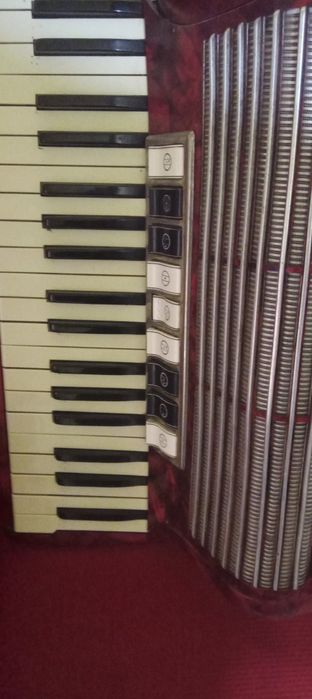 Acordeon hohner tango