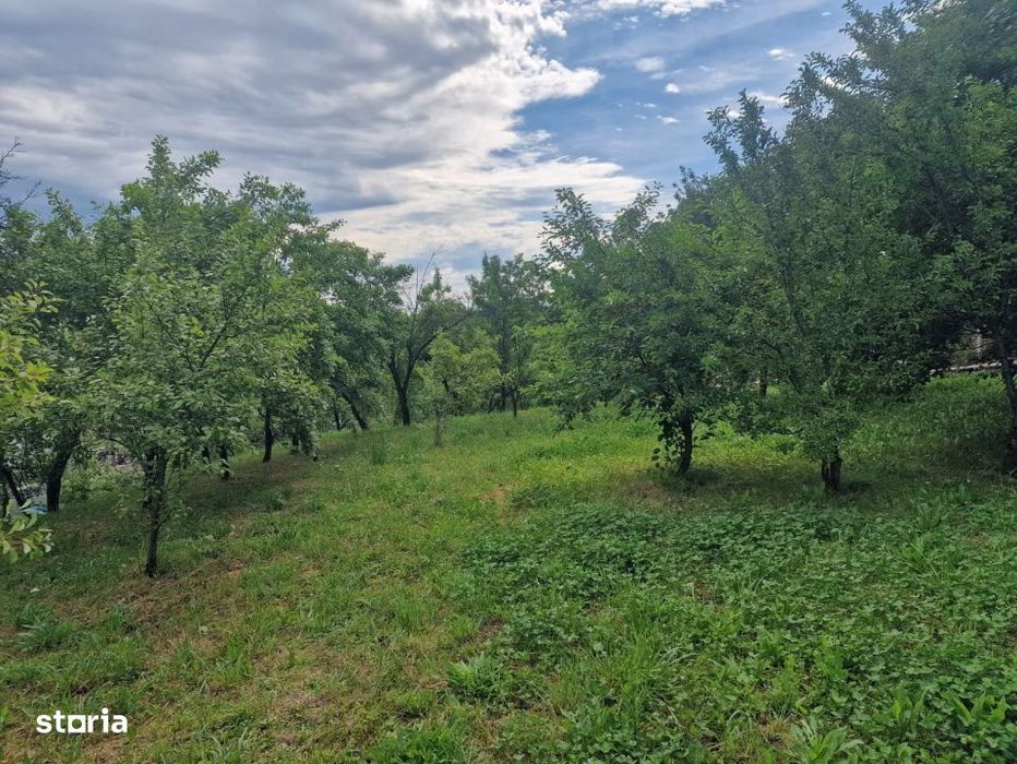 Teren intravilan 1400 mp - Albota!
