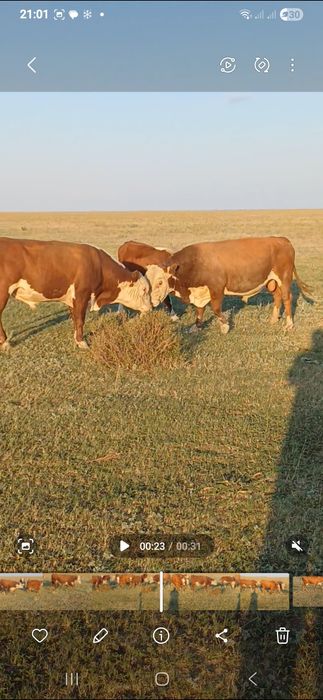 Букалар сатылады