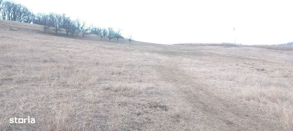 Teren Intravilan – Zonă Baraj Ighiș | 5.700 mp | Front Stradal Generos