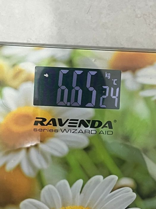 Туша барана целиком