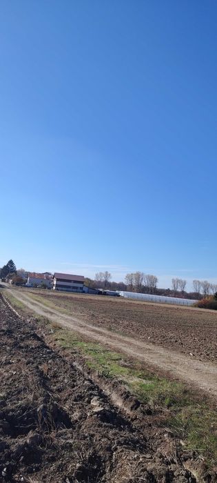 Teren intravilan Cosoba 4650 mp la 20 min de militari Bucuresti
