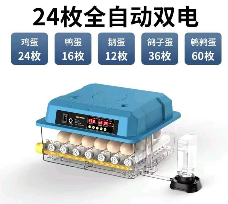 Инкубатор - universal, har xil tuxum ochadigan(to‘liq avtomatik) xitoy