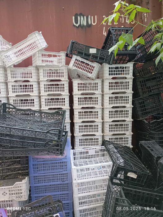 Ящики пласмасовые