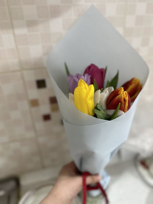 цветы тюльпаны ,маленькие.