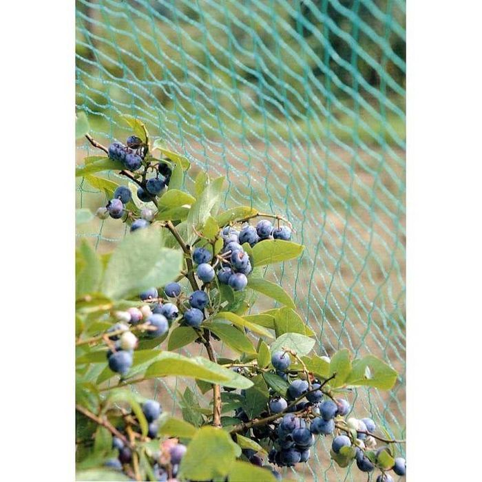 Plasa antipasari 16 gr/mp