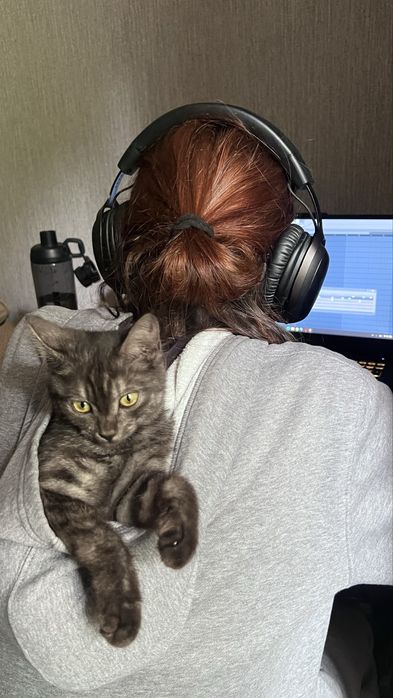 Кошка, девочка в добрые руки