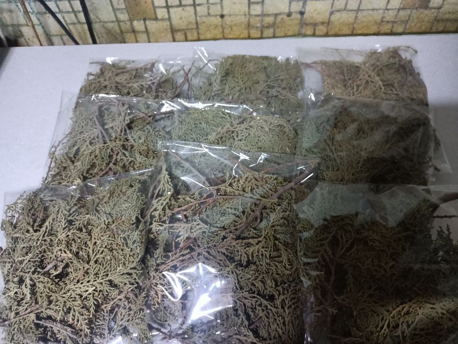 Адыраспандап адыраспан