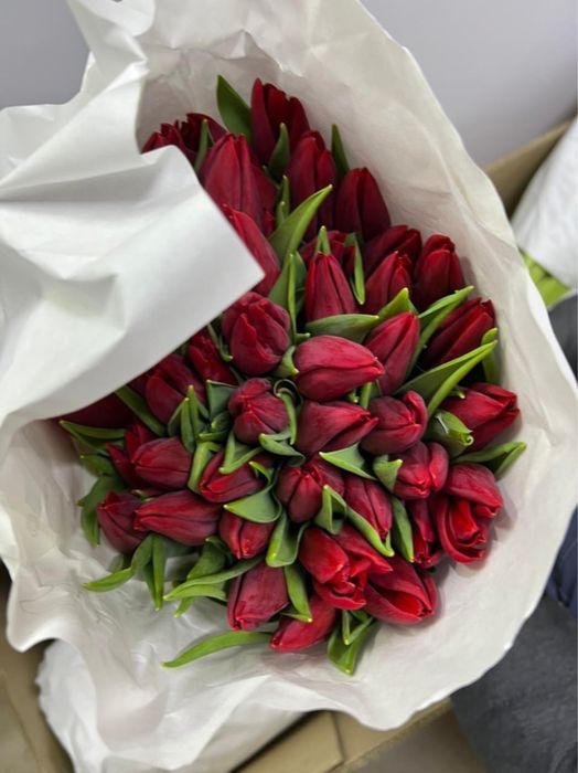 Предзаказ на тюльпаны к 8 марта