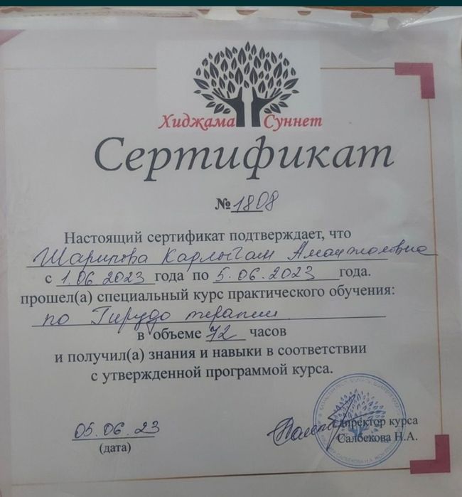 Хиджама, гирудотерапия