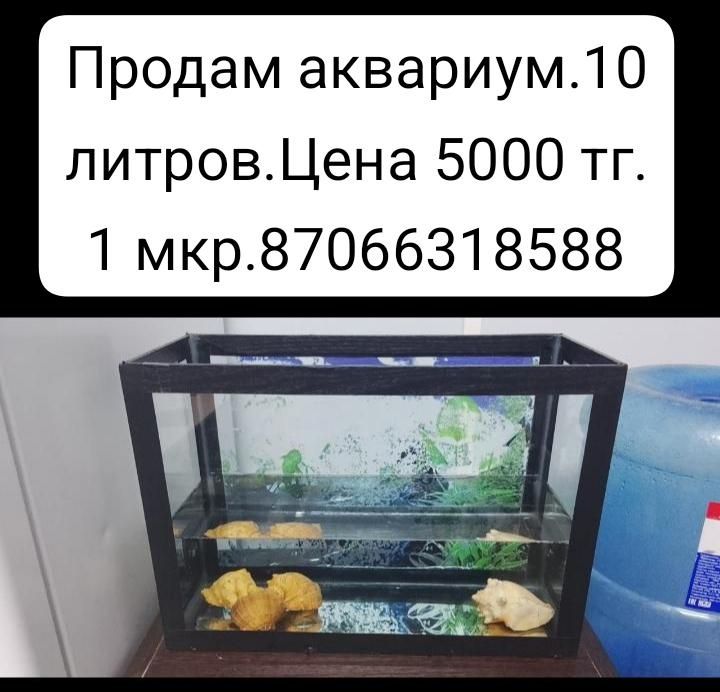 Продам аквариум,jgxgdkjgxgdgdkgskgdkgdhldlhdlhdlydkhdkhdk