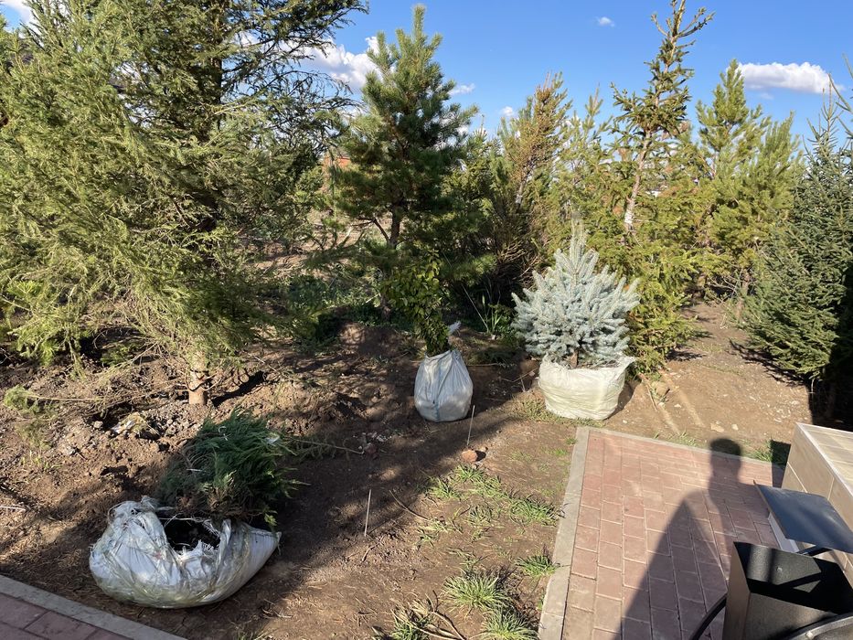 Озеленение, благоустройство, сад