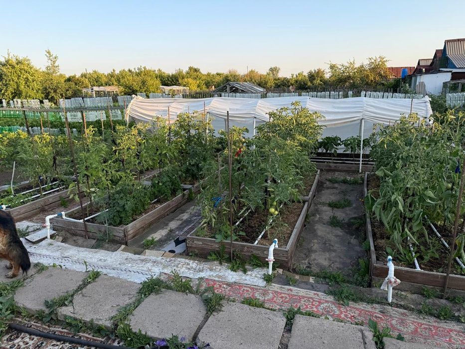 Продаётся дача, Черемушки