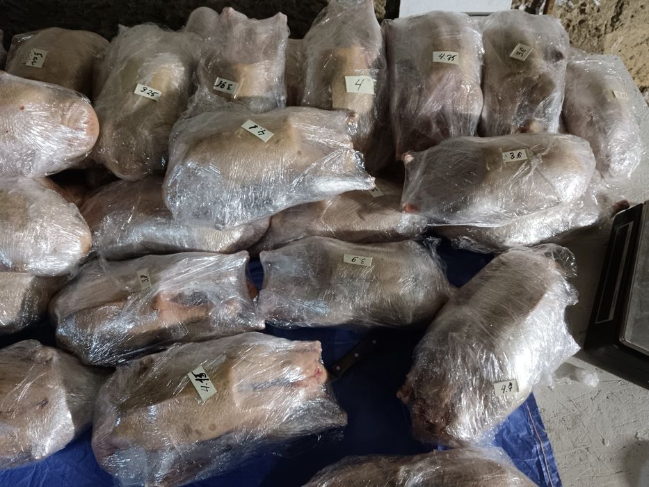 Гусыни  қаз еті сатылады