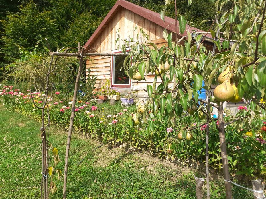 Продавам 1010 кв. м. в регулация и 2 декара зем. земя в с. Враниловци.