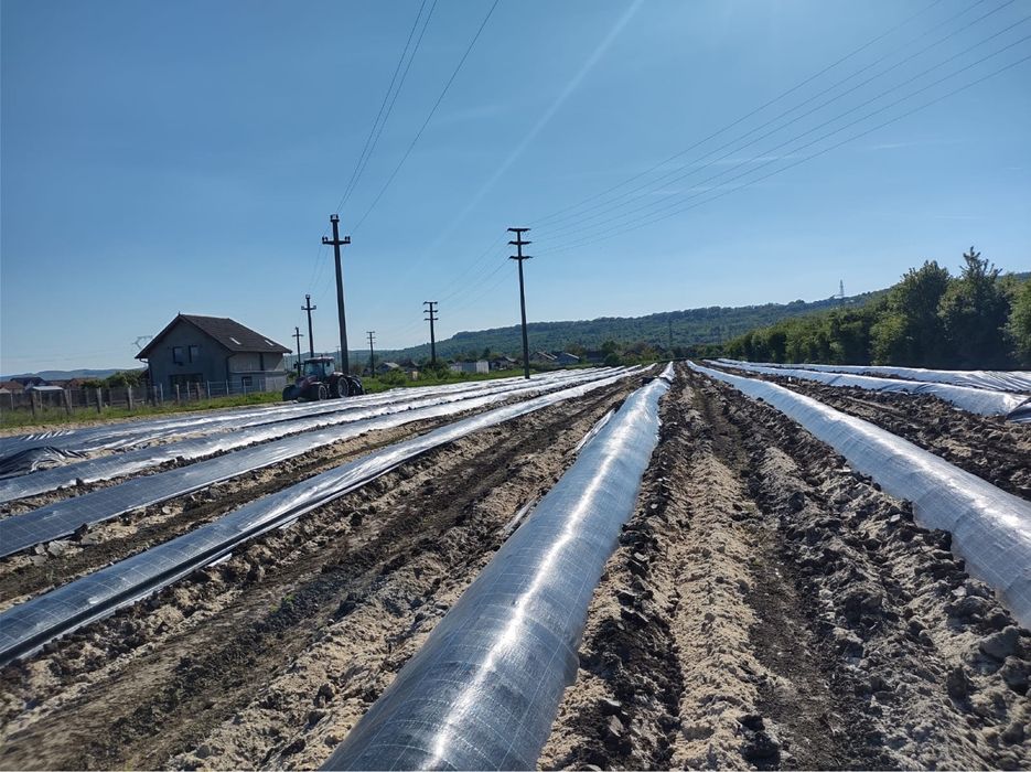 Utilaje/masini de bilonat si infoliat pentru inchiriat