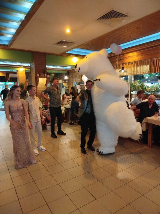 Голяма Бяла Мечка Изненада